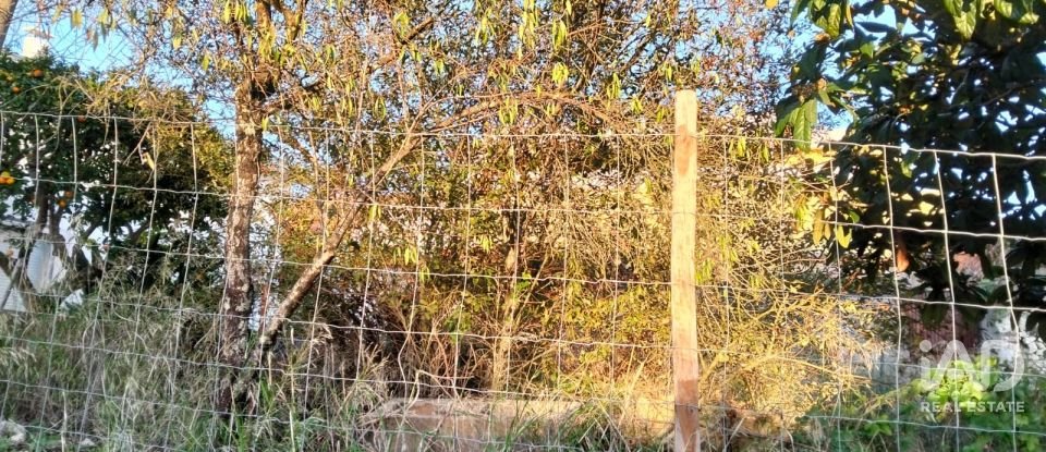 Moradia térrea T2 em Torres Novas (São Pedro), Lapas e Ribeira Branca de 163 m²