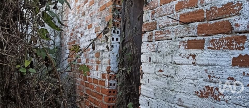 Moradia térrea T2 em Torres Novas (São Pedro), Lapas e Ribeira Branca de 163 m²