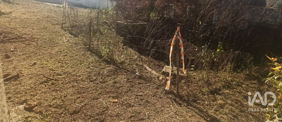 Moradia térrea T2 em Torres Novas (São Pedro), Lapas e Ribeira Branca de 163 m²