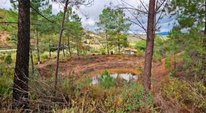 Terrain agricole à Mexilhoeira Grande de 23 970 m²