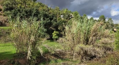 Terrain agricole à Mexilhoeira Grande de 23 970 m²