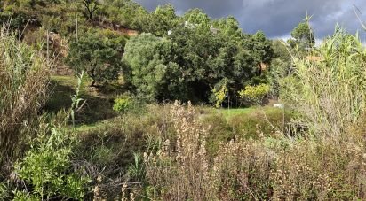 Terrain agricole à Mexilhoeira Grande de 23 970 m²