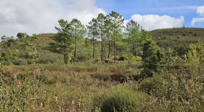 Terrain agricole à Mexilhoeira Grande de 23 970 m²