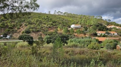 Terrain agricole à Mexilhoeira Grande de 23 970 m²