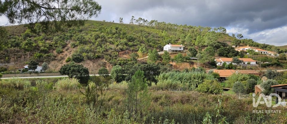 Terreno rústico em Mexilhoeira Grande de 23 970 m²