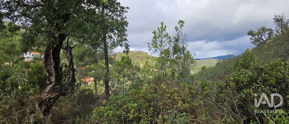 Terreno rústico em Mexilhoeira Grande de 23 970 m²