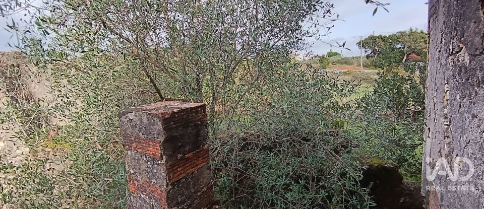 Moradia T0 em Chancelaria de 48 m²