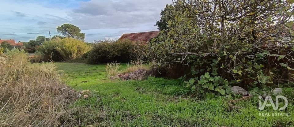 Moradia T0 em Chancelaria de 48 m²