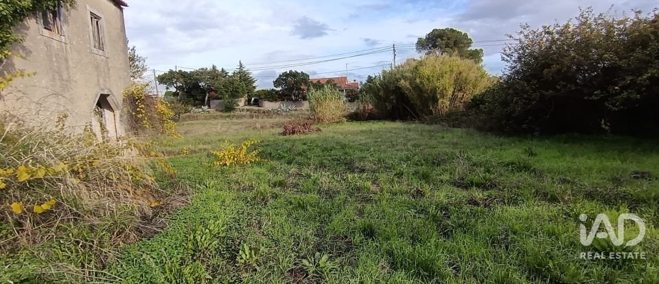 Moradia T0 em Chancelaria de 48 m²