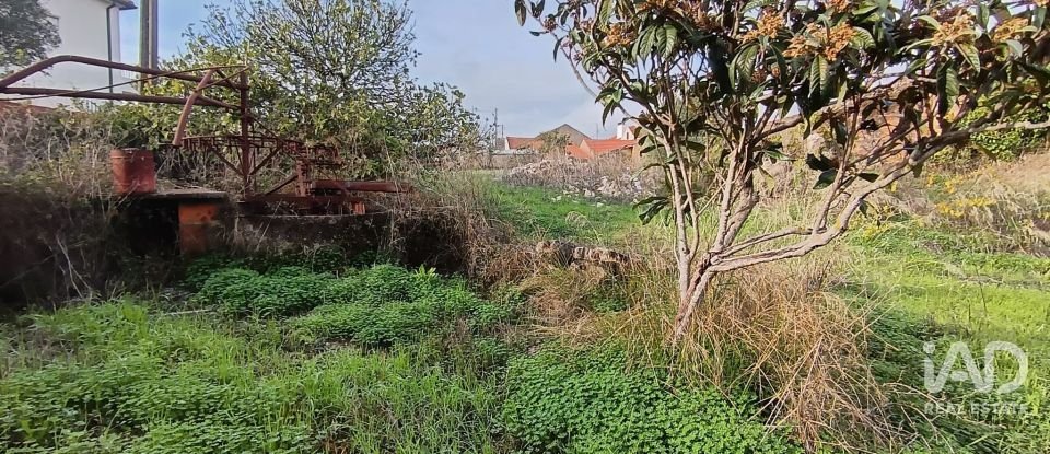 Moradia T0 em Chancelaria de 48 m²