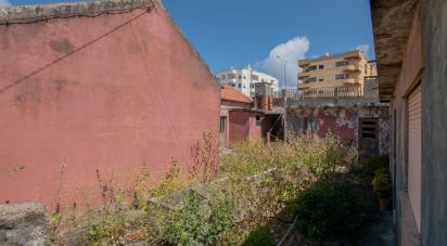 House T0 in Vieira de Leiria of 179 m²