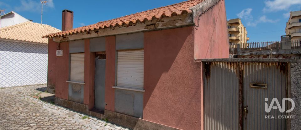 Moradia T0 em Vieira de Leiria de 179 m²