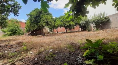 Terrain à bâtir à Amor de 231 m²