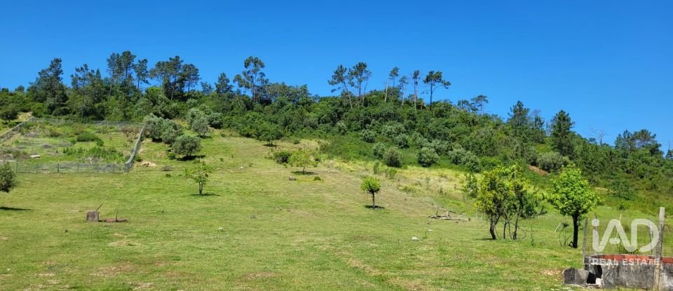 Terreno em Porto de Mós - São João Baptista e São Pedro de 2 800 m²