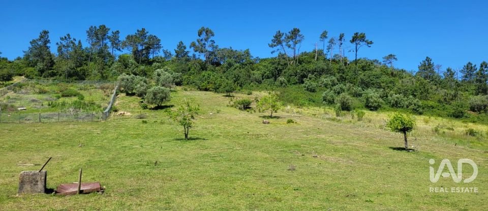 Terreno em Porto de Mós - São João Baptista e São Pedro de 2 800 m²