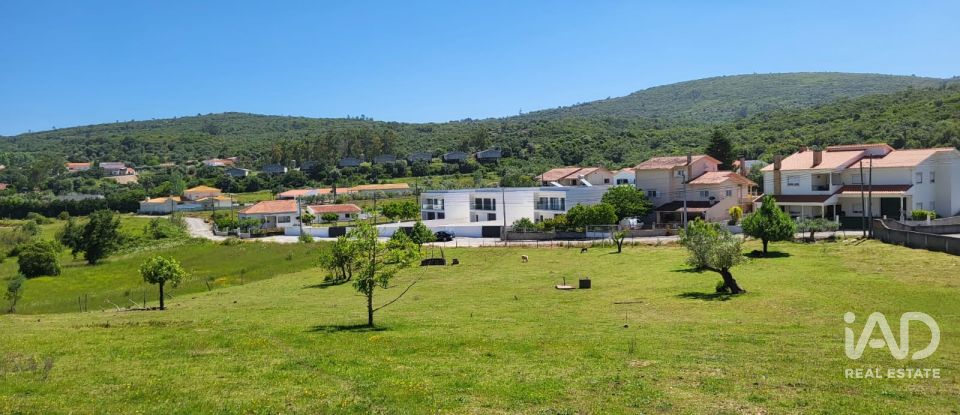 Terreno em Porto de Mós - São João Baptista e São Pedro de 2 800 m²