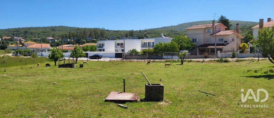 Terreno em Porto de Mós - São João Baptista e São Pedro de 2 800 m²