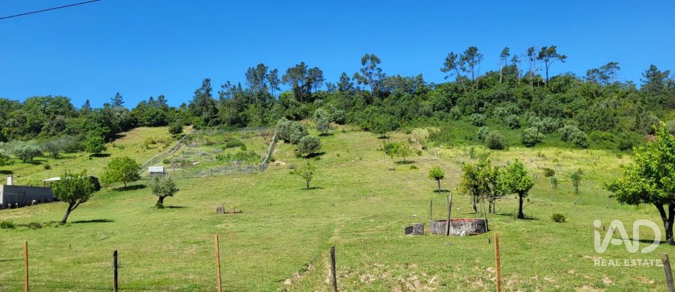 Terreno em Porto de Mós - São João Baptista e São Pedro de 2 800 m²