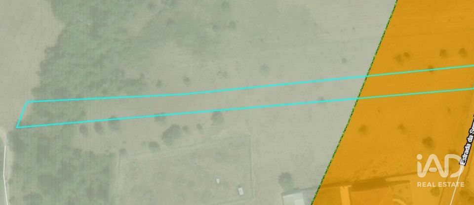 Terreno em Porto de Mós - São João Baptista e São Pedro de 2 800 m²