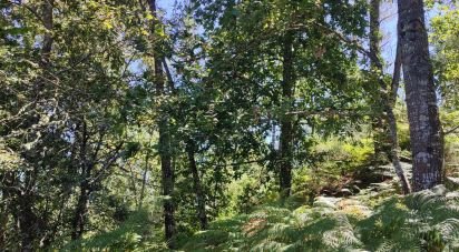 Maison T0 à Vila Maior de 60 m²