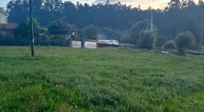 Farm land in Fornelos e Queijada of 1,400 m²