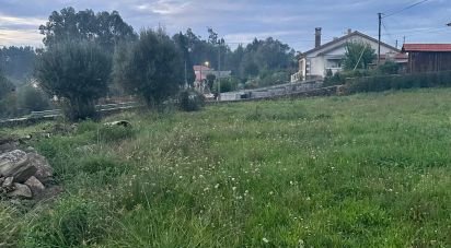 Farm land in Fornelos e Queijada of 1,400 m²