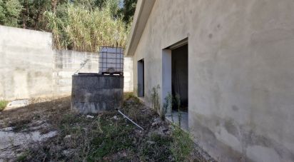 House T3 in Rio Maior of 209 m²