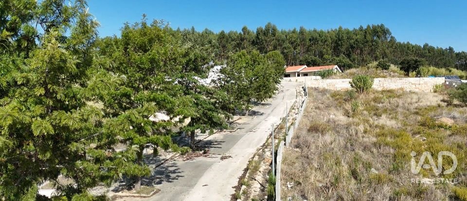 Moradia T3 em Rio Maior de 209 m²