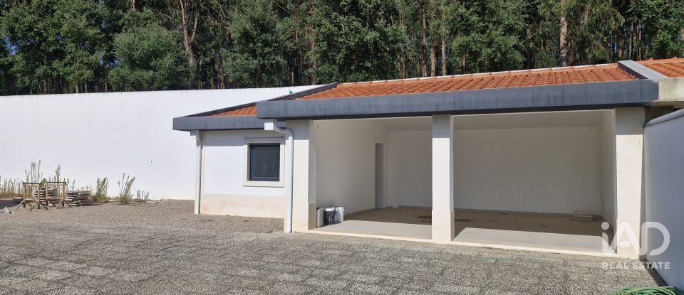 Moradia T4 em Rio Maior de 218 m²