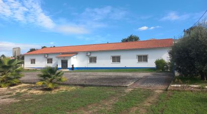 Shop / premises commercial in Arrabal of 890 m²