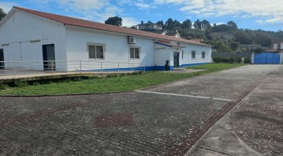 Shop / premises commercial in Arrabal of 890 m²