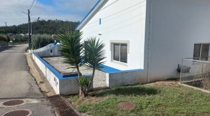 Shop / premises commercial in Arrabal of 890 m²