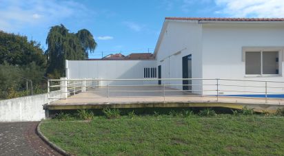 Shop / premises commercial in Arrabal of 890 m²