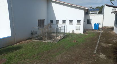 Shop / premises commercial in Arrabal of 890 m²