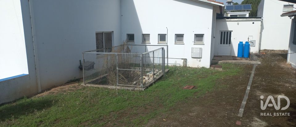 Shop / premises commercial in Arrabal of 890 m²