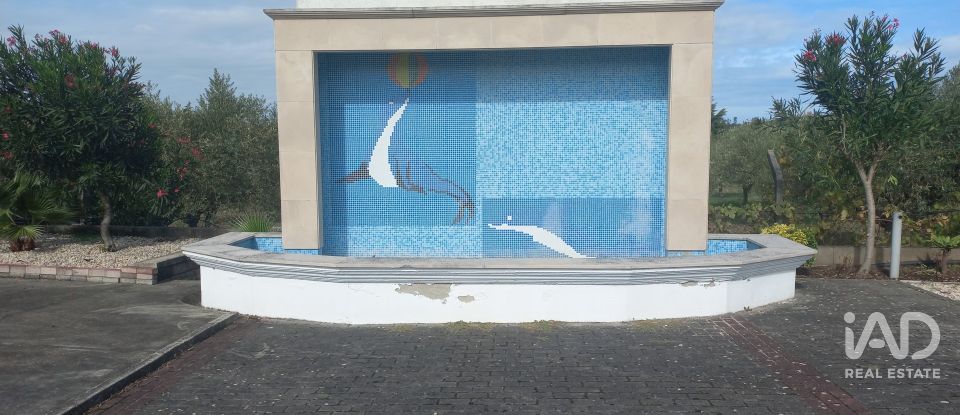 Shop / premises commercial in Arrabal of 890 m²