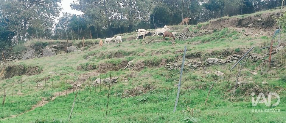 Moradia T2 em Labrujó, Rendufe e Vilar do Monte de 140 m²