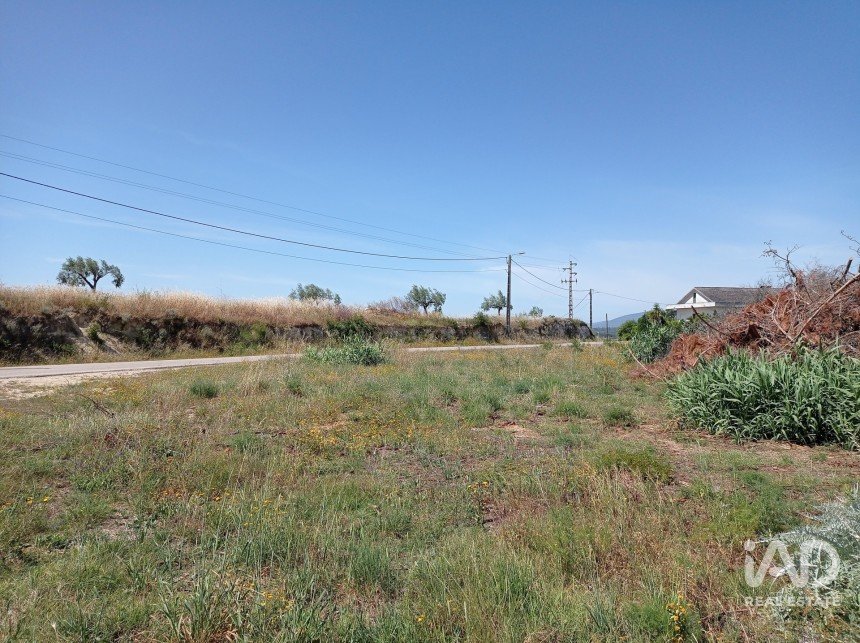 Terreno rústico em Madalena e Beselga de 47 720 m²