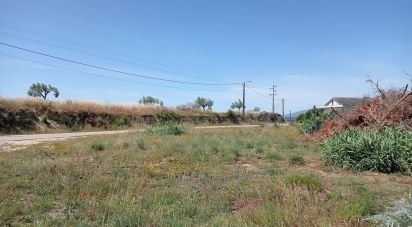 Terrain agricole à Madalena e Beselga de 47 720 m²