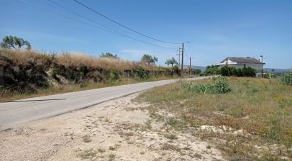 Terrain agricole à Madalena e Beselga de 47 720 m²