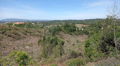 Terrain agricole à Madalena e Beselga de 47 720 m²