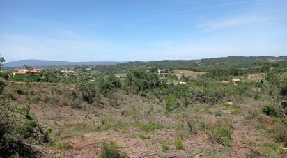 Terrain agricole à Madalena e Beselga de 47 720 m²