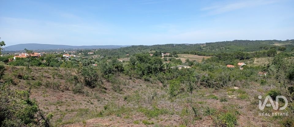 Terreno rústico em Madalena e Beselga de 47 720 m²
