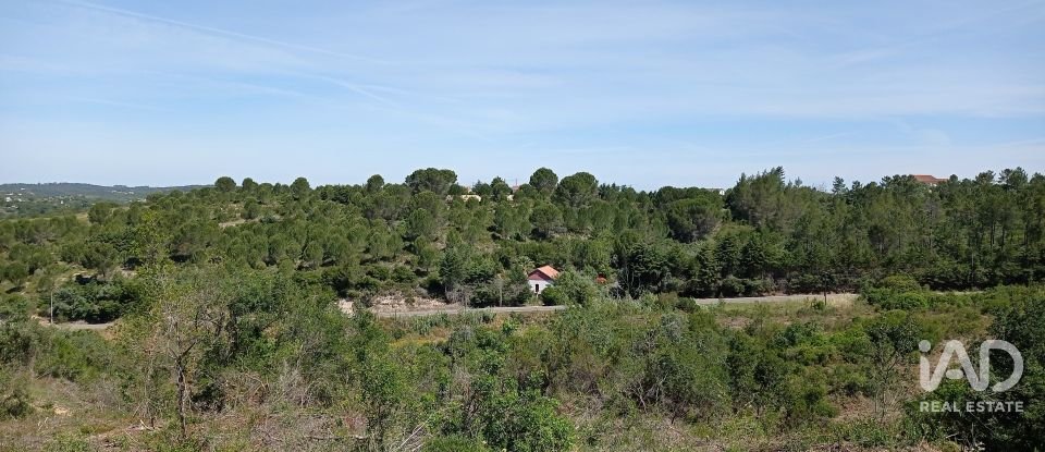 Terreno rústico em Madalena e Beselga de 47 720 m²
