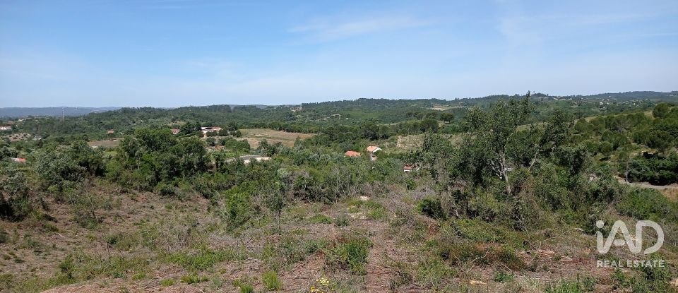 Terreno rústico em Madalena e Beselga de 47 720 m²