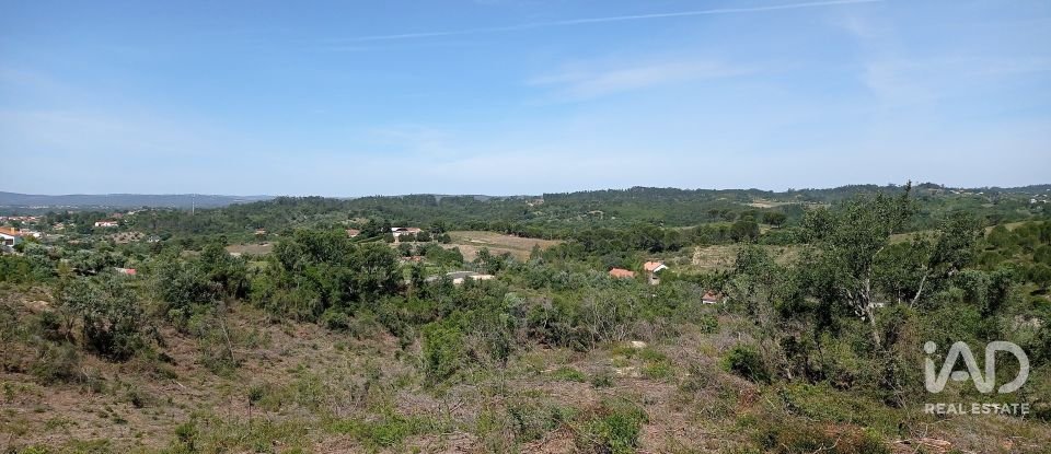 Terreno rústico em Madalena e Beselga de 47 720 m²