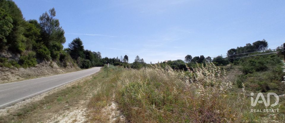 Terreno rústico em Madalena e Beselga de 47 720 m²