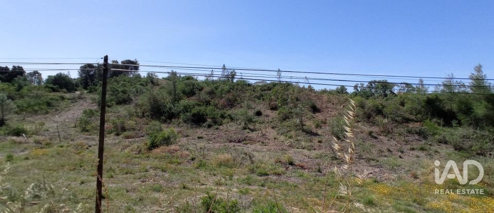 Terreno rústico em Madalena e Beselga de 47 720 m²