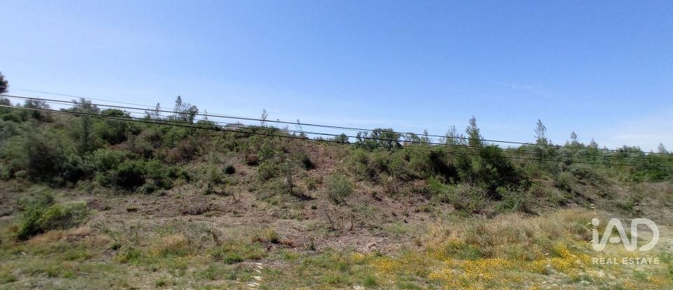 Terreno rústico em Madalena e Beselga de 47 720 m²