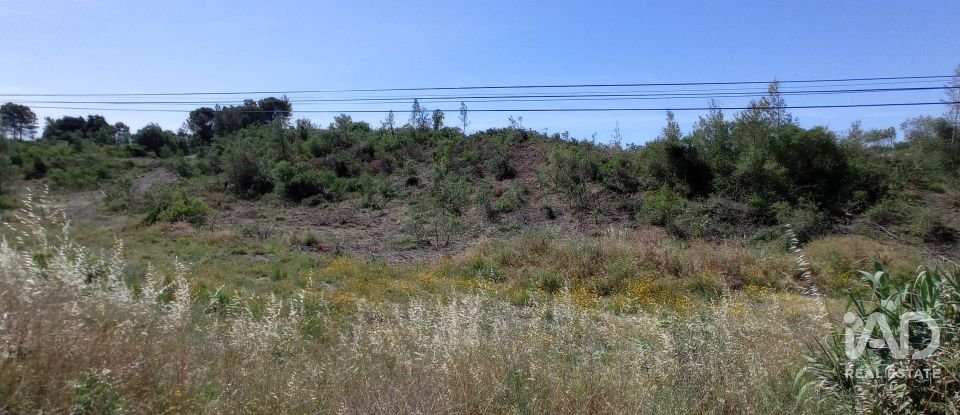 Terreno rústico em Madalena e Beselga de 47 720 m²